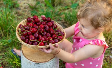 Çocuk bahçede kiraz yiyor. Seçici odaklanma. yiyecek.