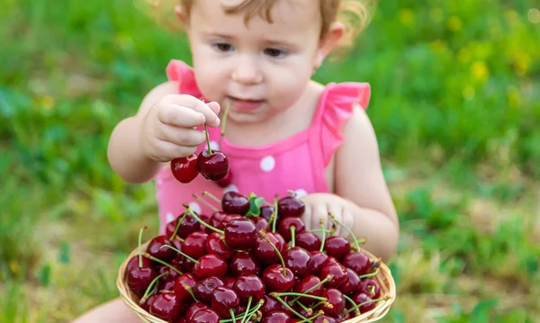 Das Kind Isst Kirschen Garten Selektiver Fokus Lebensmittel — Stockfoto