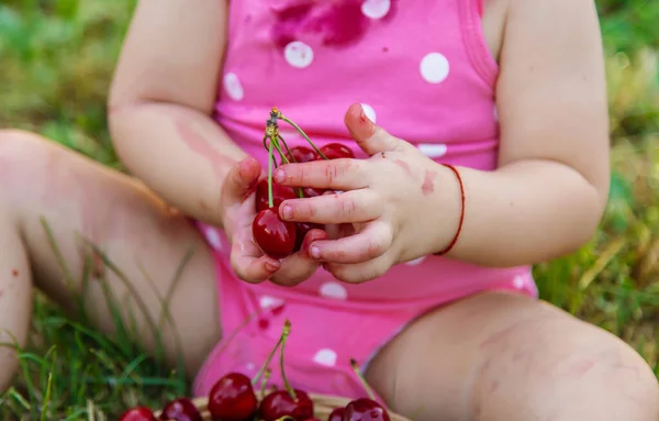 子供は庭でさくらんぼを食べる 選択的フォーカス 食べ物 — ストック写真