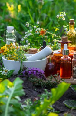 Şifalı bitkiler ve tentürler alternatif tıp. Seçici odaklanma. Doğa.