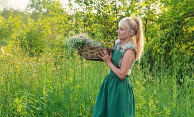 Bir kadın şifalı bitkiler toplar. Seçici odaklanma. Doğa.