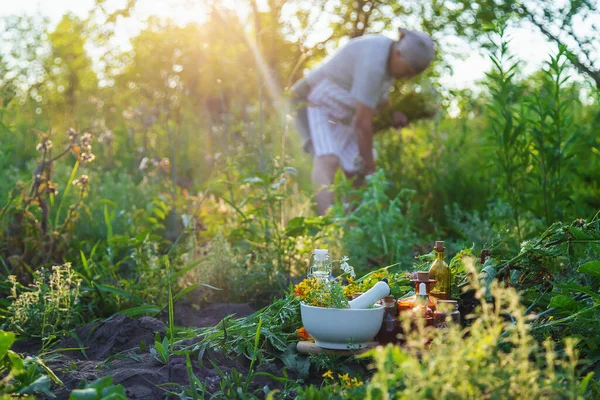 Yaşlı Bir Kadın Şifalı Bitkiler Topluyor Seçici Odaklanma Doğa — Stok fotoğraf