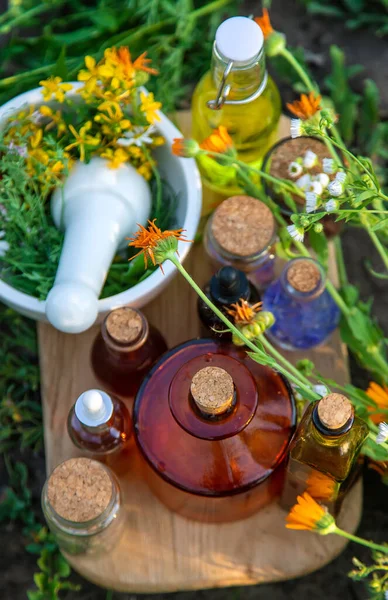 Medicinal Herbs Tinctures Alternative Medicine Selective Focus Nature — Stock Photo, Image