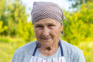 Yaşlı kadın şifalı bitkiler topluyor. Seçici odaklanma. Doğa.