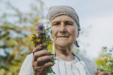 Yaşlı kadın bitkisel tentür yapıyor. Seçici odaklanma. Doğa.