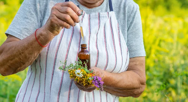 Alte Frau Stellt Kräutertinktur Her Selektiver Fokus Natur — Stockfoto