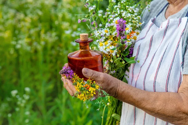 Old Woman Makes Herbal Tincture Selective Focus Nature — Stock Photo, Image