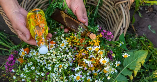 Woman Makes Herbal Tincture Selective Focus Nature — Stock Photo, Image