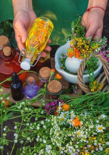 Una Mujer Hace Tintura Herbal Enfoque Selectivo Naturaleza —  Fotos de Stock