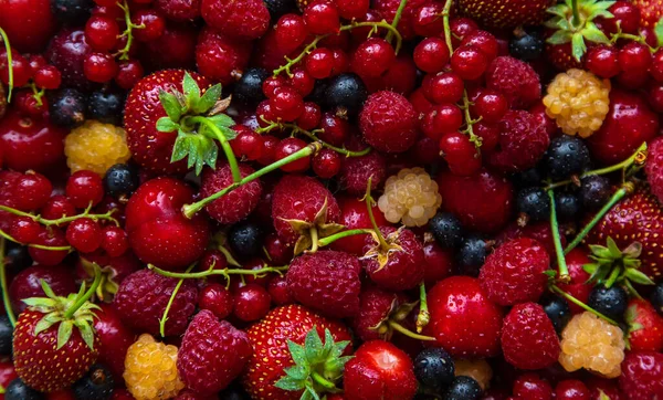 Beautiful Background Homemade Berries Selective Focus Food — Foto de Stock