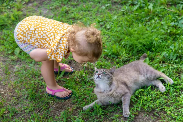 Child Plays Cat Selective Focus Baby — Foto de Stock