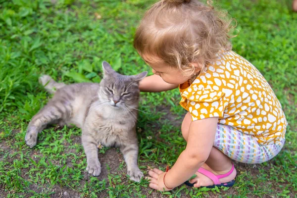 这孩子和猫一起玩 有选择的重点 — 图库照片