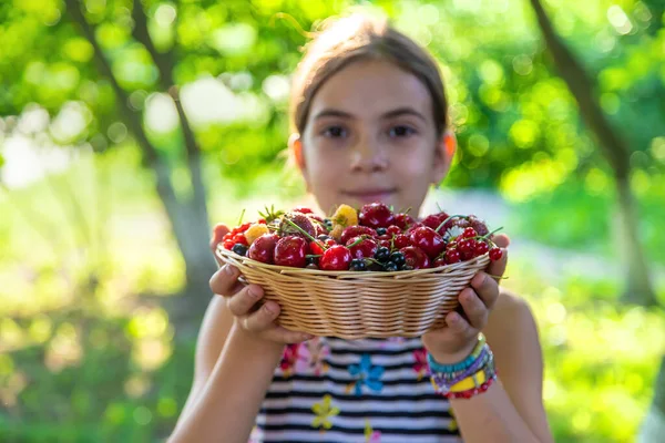 Child Eats Berries Garden Selective Focus Kid — Stok fotoğraf