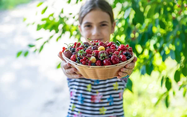 Child Eats Berries Garden Selective Focus Kid — Stok fotoğraf