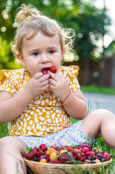 Copilul Mănâncă Fructe Pădure Grădină Concentrare Selectivă Kid — Fotografie, imagine de stoc