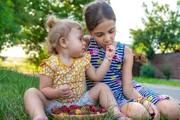 Child Eats Berries Garden Selective Focus Kid — 스톡 사진