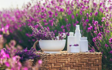 Lavender cosmetics in a field with flowers. Selective focus. Nature.