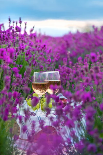 Wein Einem Lavendelfeld Selektiver Fokus Lebensmittel — Stockfoto