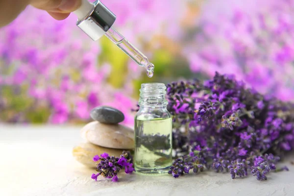 Essential Oil Lavender Extract Selective Focus Nature — Stockfoto