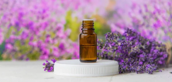 Essential Oil Lavender Extract Selective Focus Nature — 스톡 사진