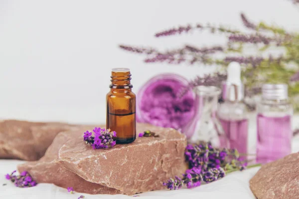 Essential Oil Lavender Extract Selective Focus Nature — Stockfoto