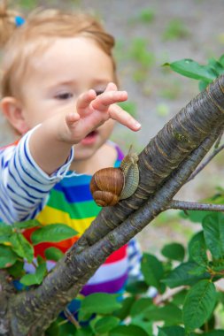 The child looks at the snail. Selective focus. Nature.