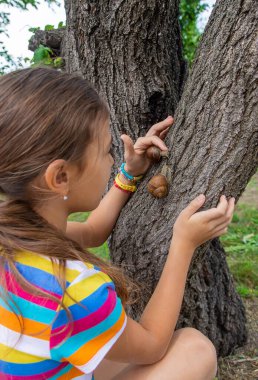 The child looks at the snail. Selective focus. Nature.