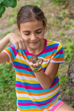 Çocuk salyangoza bakıyor. Seçici odaklanma. Doğa.