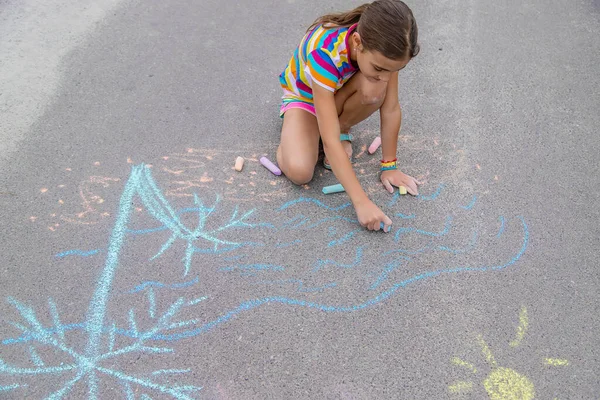 Child Draws Chalk Pavement Selective Focus Kid — ストック写真
