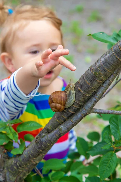 Child Looks Snail Selective Focus Nature — Foto Stock