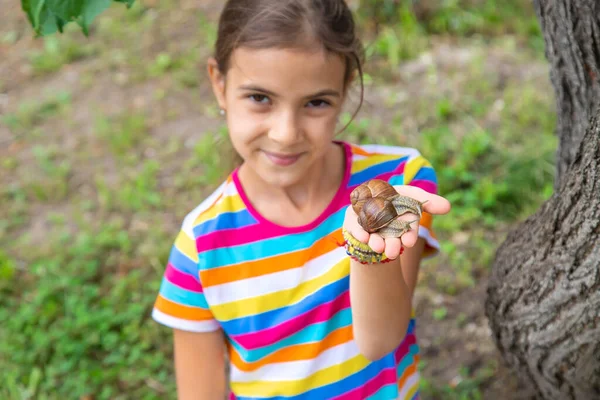 Child Looks Snail Selective Focus Nature — 图库照片