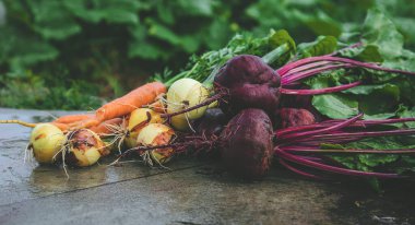 Bahçeden hasat edilmiş. Seçici odaklanma. Doğa.