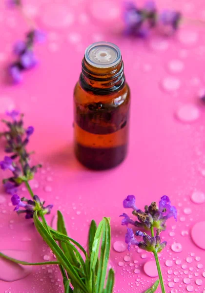 Cosmetic Product Lavender Essential Oil Selective Focus Spa — Stockfoto