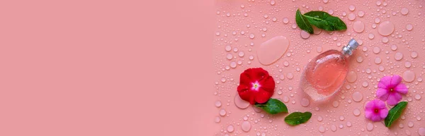 Fundo Com Gotas Água Perfume Flores Foco Seletivo Spa — Fotografia de Stock