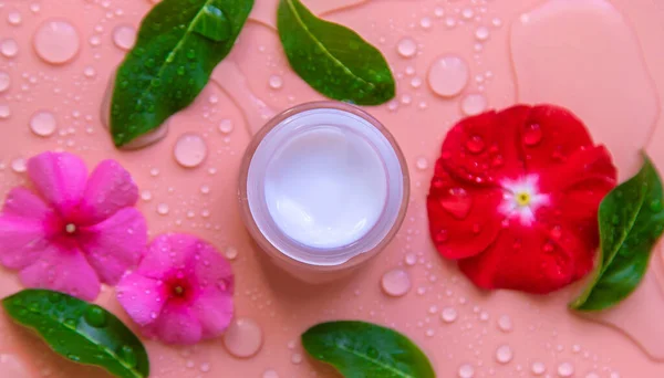 Background Drops Water Cream Moisturizing Flowers Selective Focus Spa — Fotografia de Stock