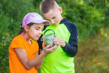 Çocuk salyangoza bakıyor. Seçici odaklanma. Hayvan..