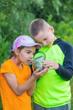 Çocuk salyangoza bakıyor. Seçici odaklanma. Hayvan..