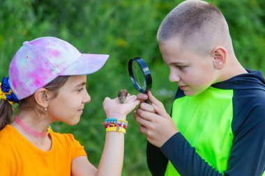 Çocuk salyangoza bakıyor. Seçici odaklanma. Hayvan..