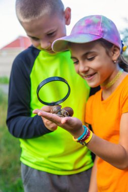 Çocuk salyangoza bakıyor. Seçici odaklanma. Hayvan..