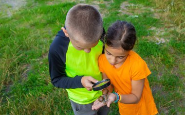 Çocuk salyangoza bakıyor. Seçici odaklanma. Hayvan..