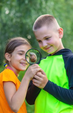 Çocuk salyangoza bakıyor. Seçici odaklanma. Hayvan..