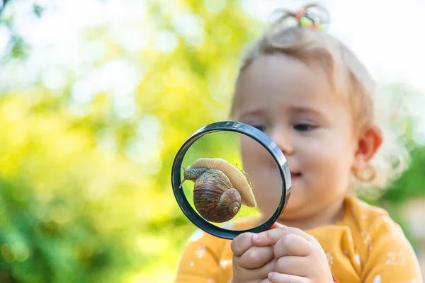 Child Looks Snail Selective Focus Animal — Fotografia de Stock