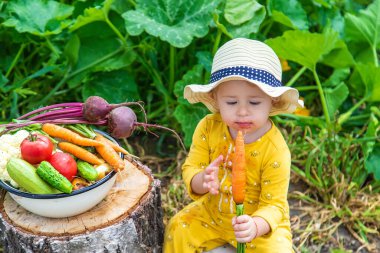 Sebze bahçesindeki çocuk. Seçici odaklanma. Çocuk.
