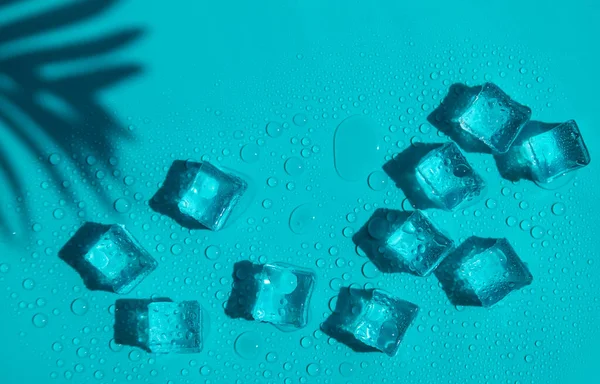 Ice Cubes Blue Background Selective Focus Food — 스톡 사진