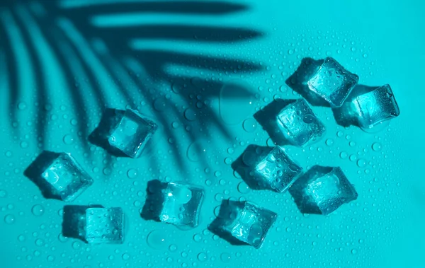 Ice Cubes Blue Background Selective Focus Food — 스톡 사진
