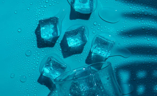 Ice Cubes Glass Selective Focus Blue — 스톡 사진