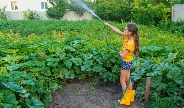 The child is watering the garden with a hose. Selective focus. Nature.