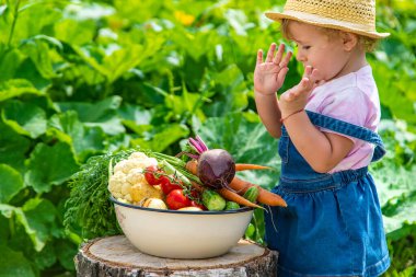 A child with a harvest of vegetables in the garden. Selective focus. Food.