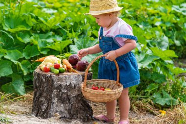 A child with a harvest of vegetables in the garden. Selective focus. Food.