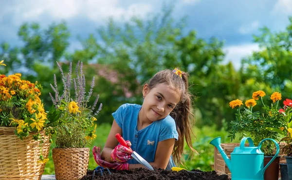 Ребенок Сажает Цветы Саду Выборочный Фокус Kid — стоковое фото